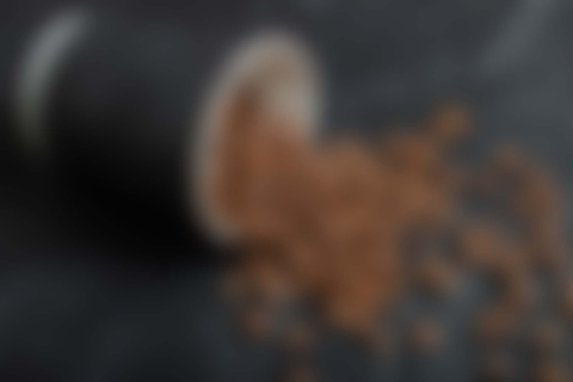 Blog2 image